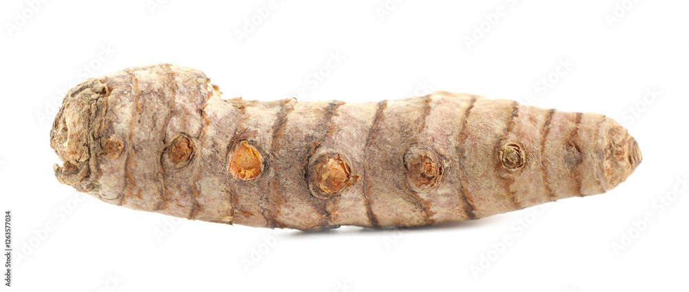 One fresh turmeric root isolated on white One fresh turmeric root isolated on white