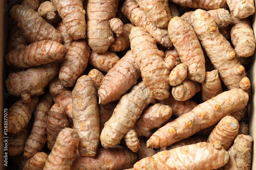 Many fresh turmeric roots as background, top view
