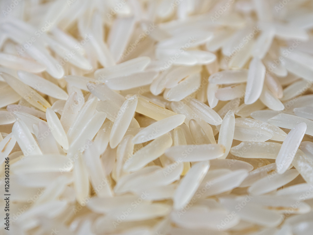 Close-up shot of dry, uncooked long grain basmati rice. Grains are slender and translucent, natural texture. Close-up shot of dry, uncooked long grain basmati rice. Grains are slender and translucent, natural texture.