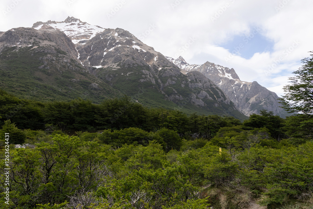 Fototapeta premium Landscape composed of Patagonian forests and icy mountains
