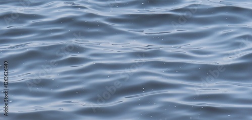 Soft rolling waves on blue water surface on Florida river, panoramic view