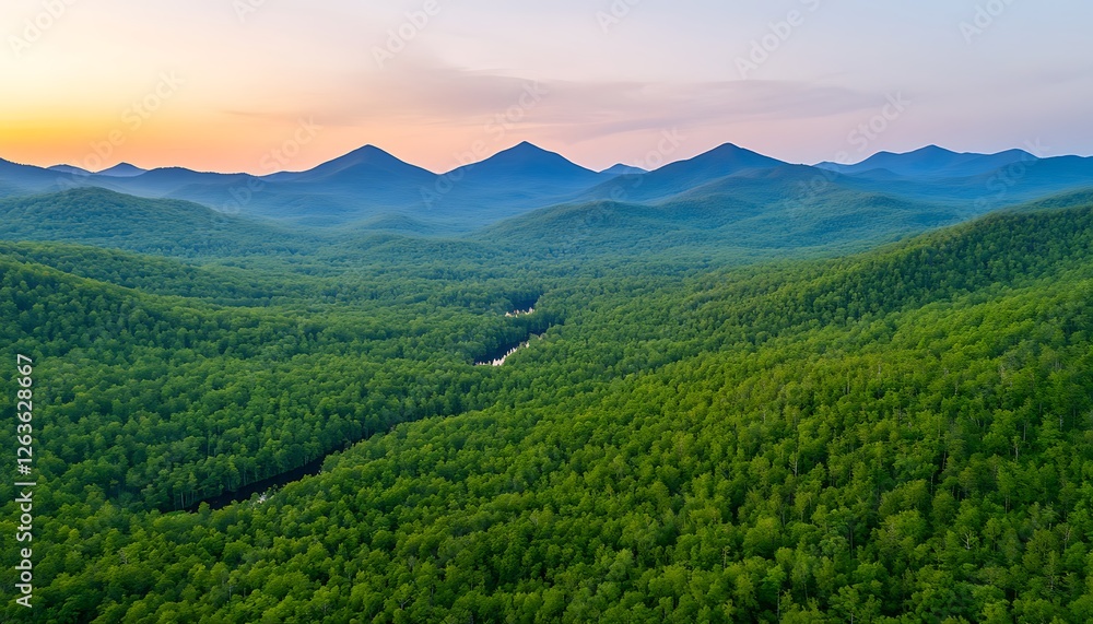 Mountain valley at sunset, aerial view of forest