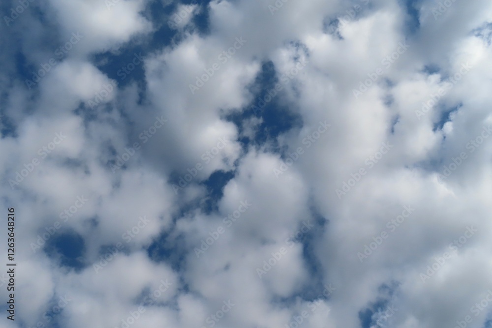 Obraz premium Stratocumulus clouds covered blue sky, natural cloudscape