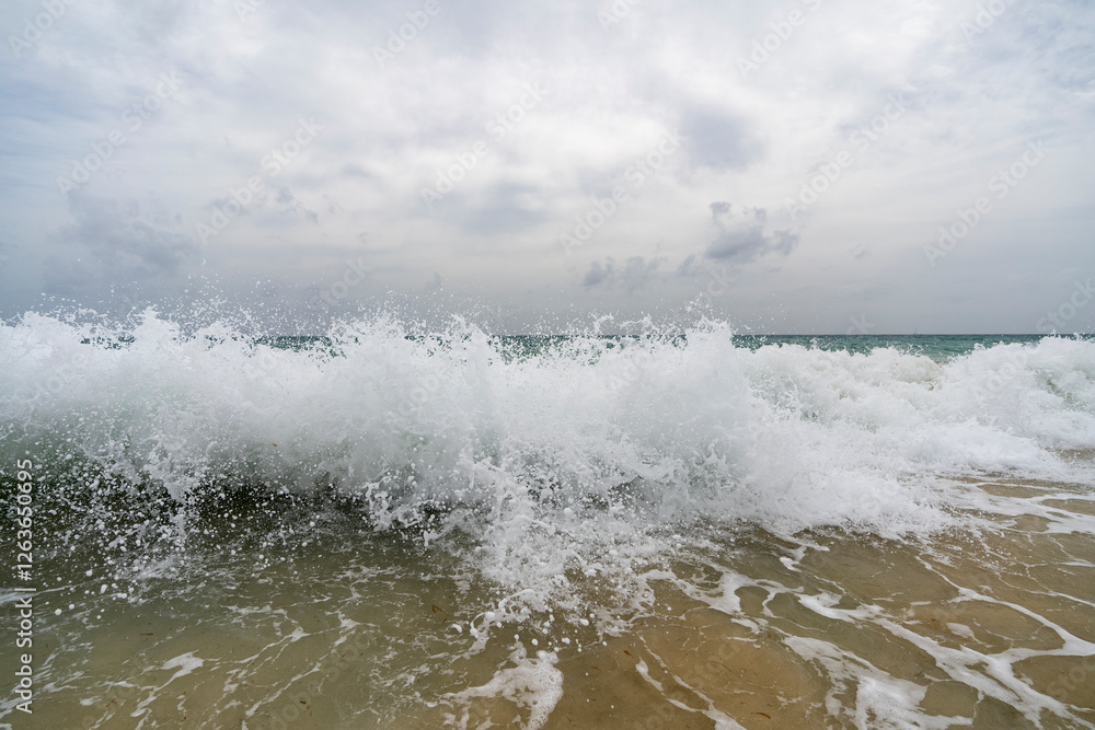 Fototapeta premium Martinica, Salines Beach - 8 February 2024 - Big waves at Les Salines in Martinique