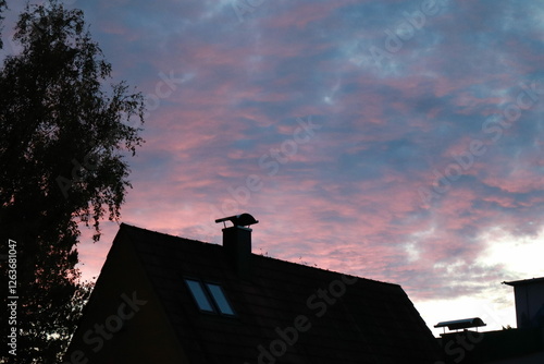 pink sunset
