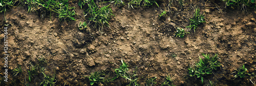 Short patchy grass with bare spots and uneven texture in a dry landscape