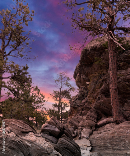 Black Hills South Dakota sunset