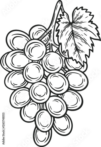 Grape leaf fruit berry sweet wine sangria ingredient natural organic raisin engraving hand drawn illustration black white isolated vintage line art sketch silhouette graphic style poster label web