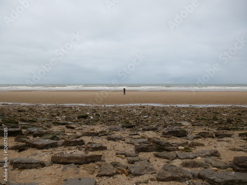 Falaise des Vaches Noires, Houlgate, Normandie