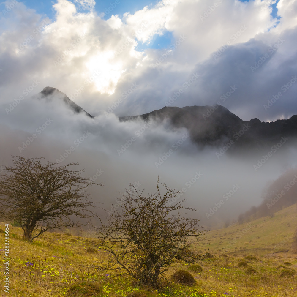 mountain covered by grass in dense mist and clouds mountain covered by grass in dense mist and clouds