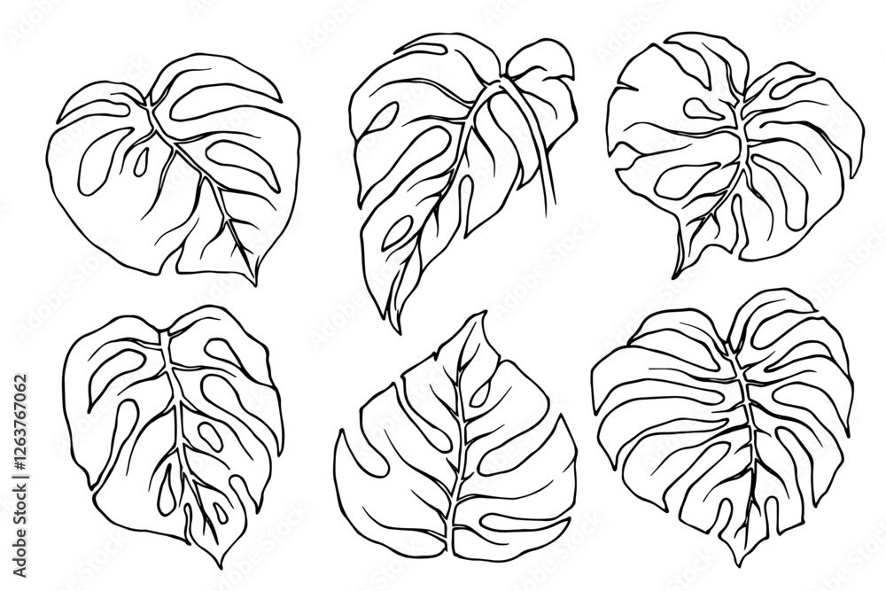 Tropical leaves line sketch set. Vector graphics. Tropical leaves line sketch set. Vector graphics.