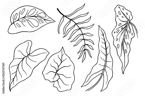 Tropical leaves line sketch set. Vector graphics.