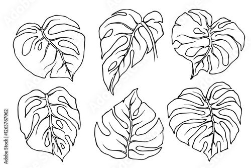 Tropical leaves line sketch set. Vector graphics.