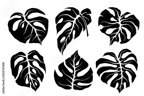 Set of silhouettes, stamps of tropical leaves. Vector graphics.