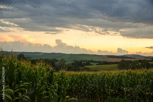 Obraz na płótnie sunrise over the field w salonie