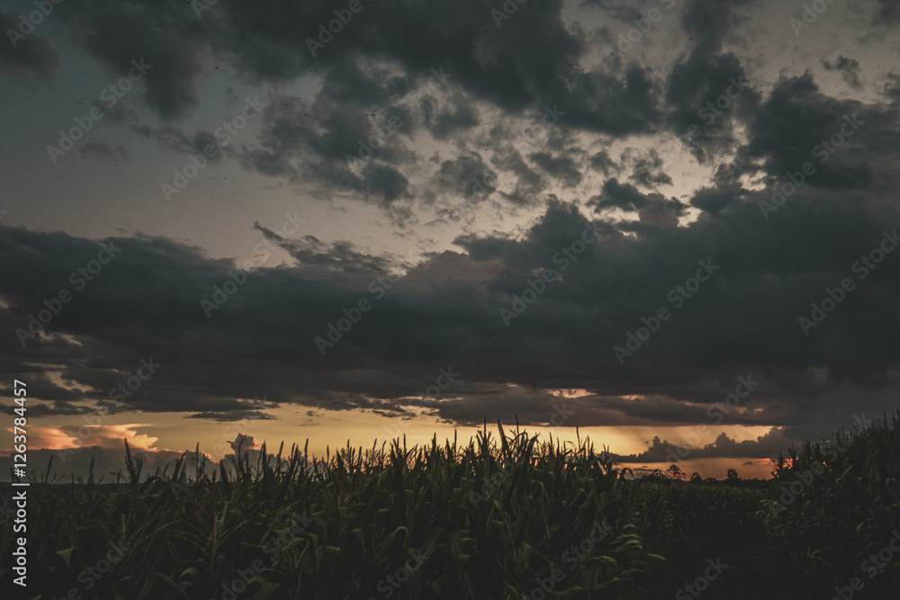 Light Sunset