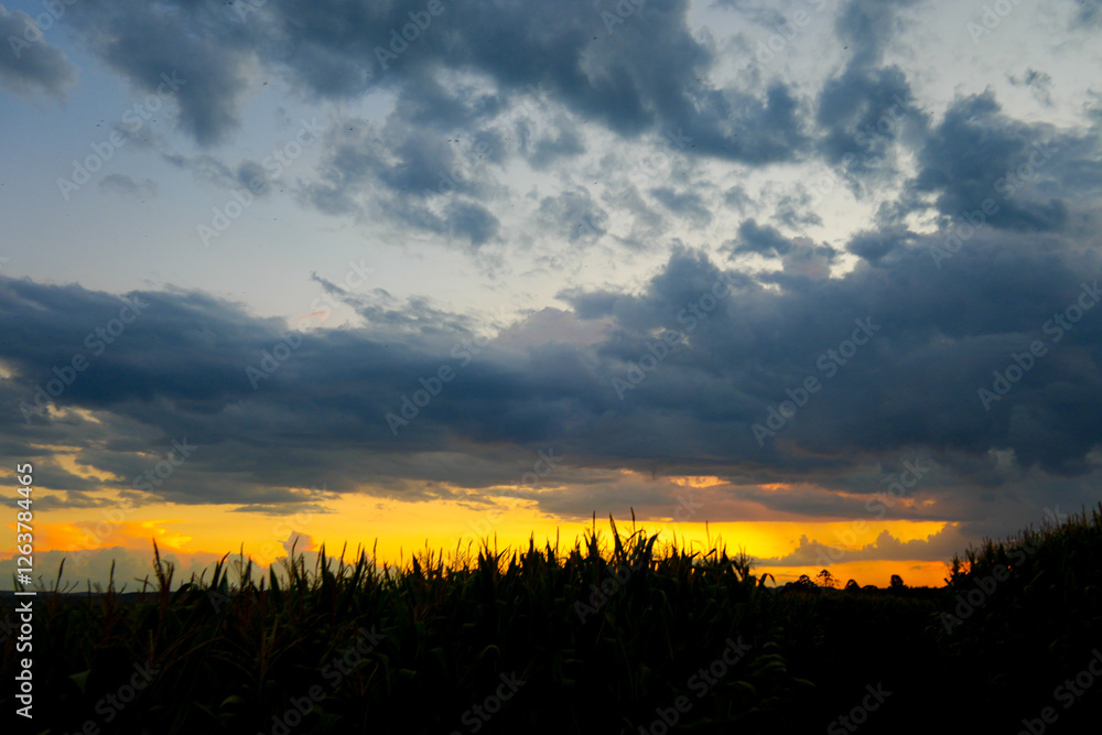 Sunset fields