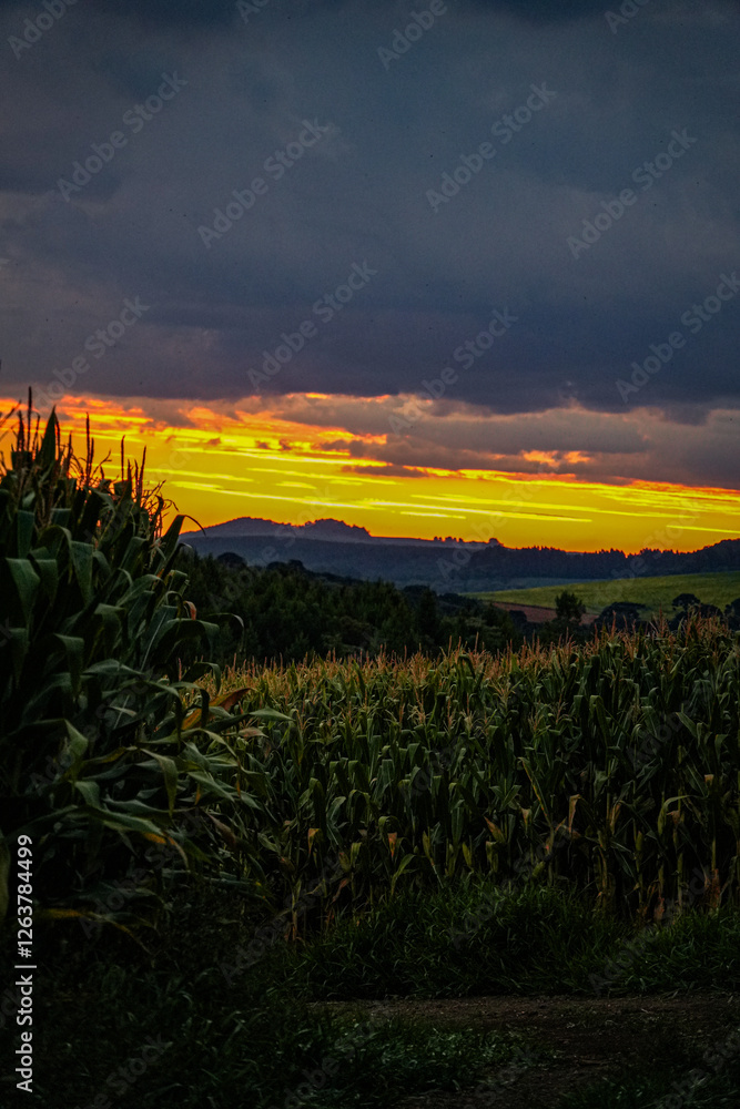 Country Sunset