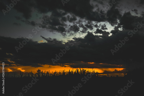 Obraz na płótnie Sunset strong w salonie