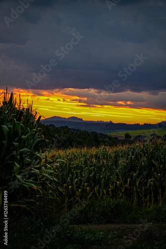 Obraz na płótnie Country Sunset w salonie