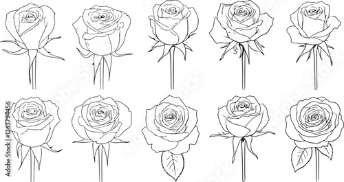 Rose Silhouette Set