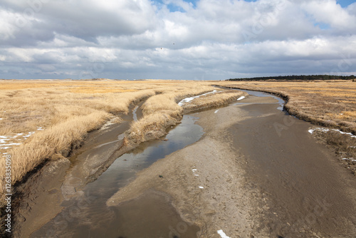 Priel in den Salzwiesen photo