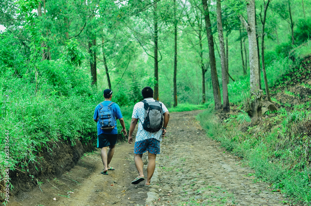 Two boys go hiking with backpacks on a forest road bright sunny day Two boys go hiking with backpacks on a forest road bright sunny day