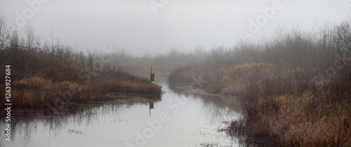 Morning fog on a river between marshes