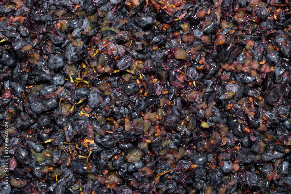 Wine material, grape juice - must, stum, maun. Technology of wine production in Moldova. The folk tradition of making wine. The ancient tradition of grape processing. Wine material, grape juice - must, stum, maun. Technology of wine production in Moldova. The folk tradition of making wine. The ancient tradition of grape processing.