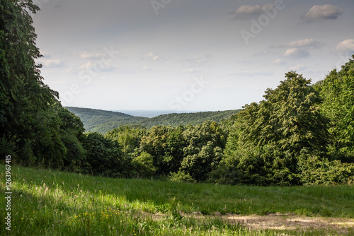 A lush clearing opens to a panoramic view of Fruska Gora’s rolling, forested hills. The verdant scenery and soft light highlight one of Serbia’s prime natural refuges for outdoor exploration. photo