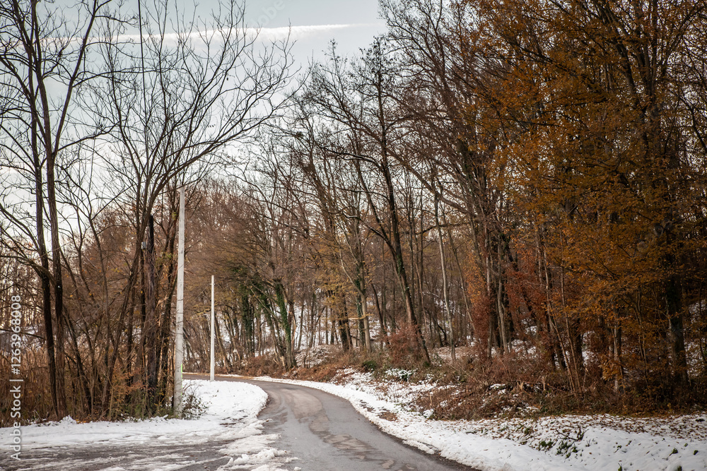 A narrow countryside road meanders through a snow-covered landscape in rural Serbia. Bare trees flank the winding path, highlighting the season’s chill and winter travel conditions. A narrow countryside road meanders through a snow-covered landscape in rural Serbia. Bare trees flank the winding path, highlighting the season’s chill and winter travel conditions.