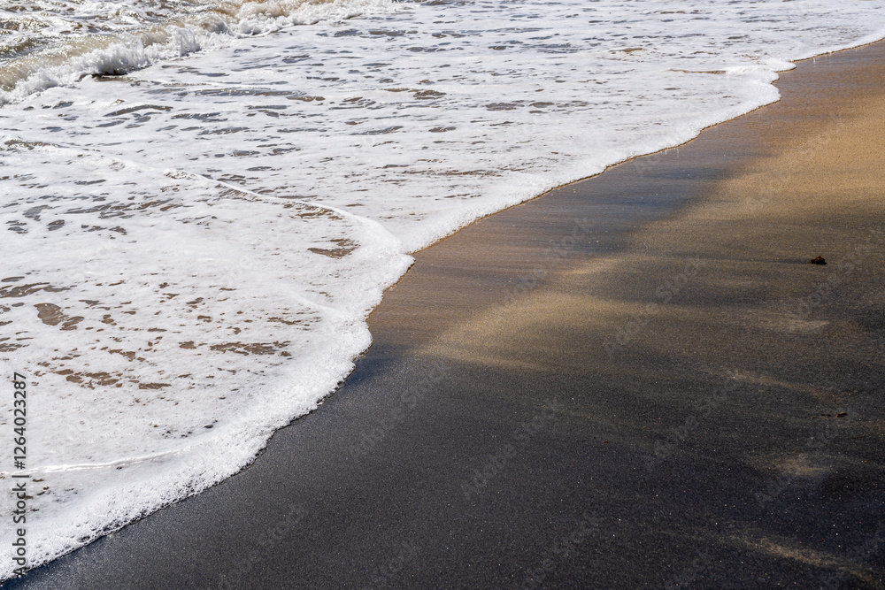 Waves washing onto a black sand beach. Playa Negra, Vieques Puerto Rico. Waves washing onto a black sand beach. Playa Negra, Vieques Puerto Rico.