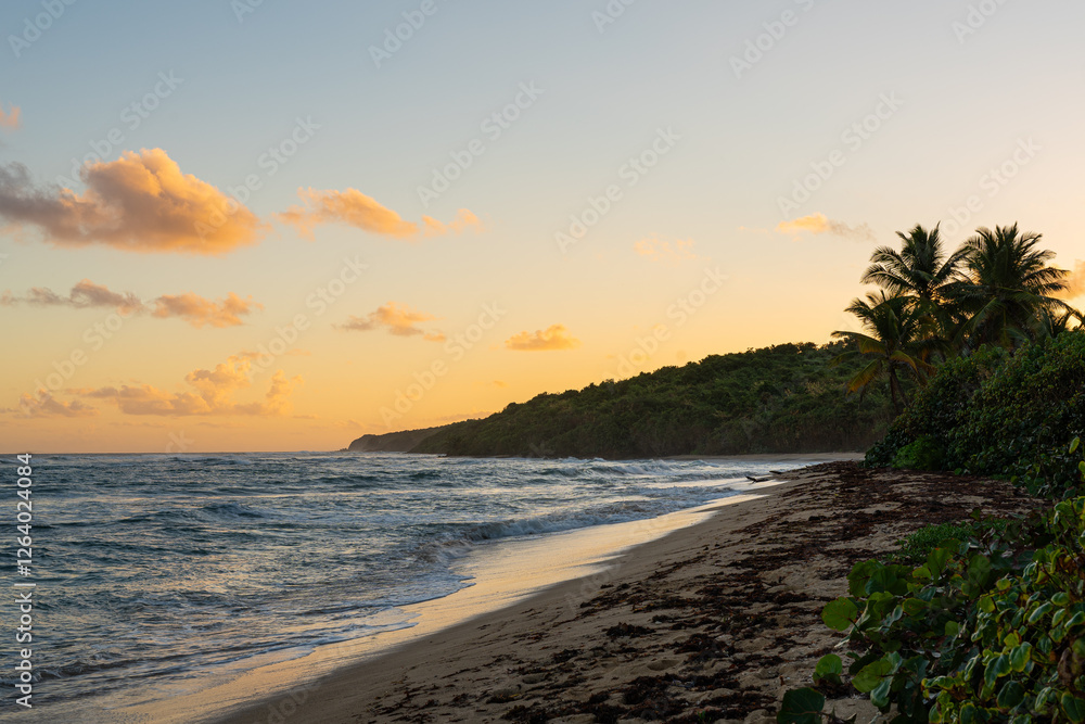 Golden sunrise casting a warm glow over a secluded tropical beach with waves gently breaking along the shore. Vieques, Puerto Rico. Golden sunrise casting a warm glow over a secluded tropical beach with waves gently breaking along the shore. Vieques, Puerto Rico.