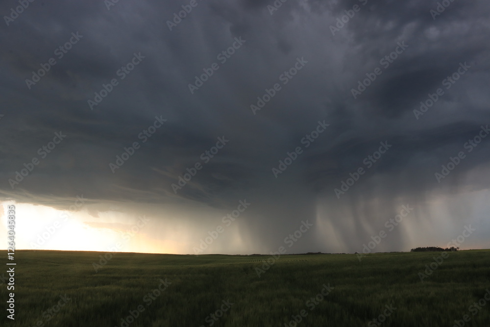 Storm Season in the Valley. Storm Season in the Valley.