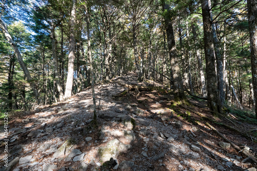 Mt. Mizugaki, Takamiiwa and surrounding views photo