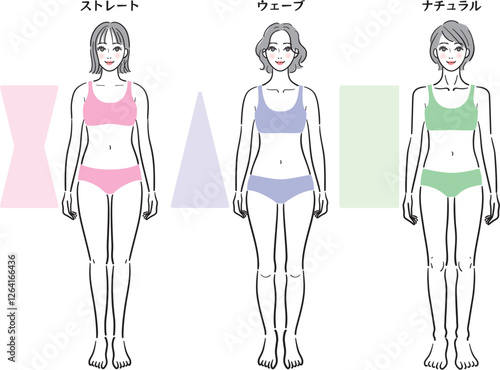 骨格診断　3タイプ