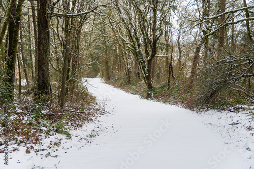 Traveling On Wintry Snowy Roads photo