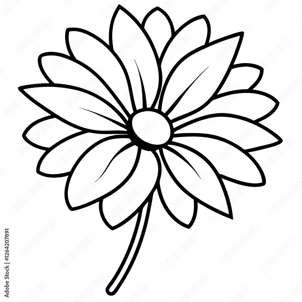 black and white flower black and white flower