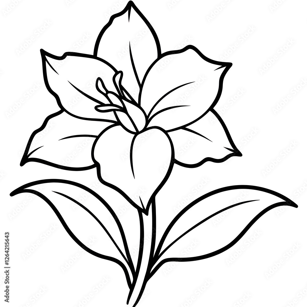 lily of the valley lily of the valley