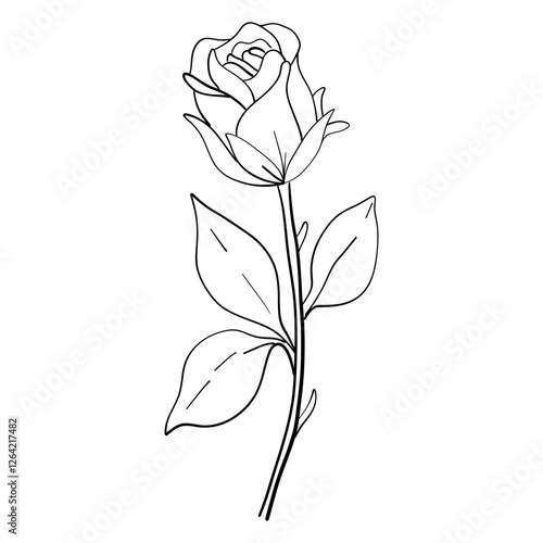 Rose minimalistic line art featuring drawing on hand draw lines black ink sketches. vector illustration isolated on transparent