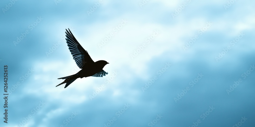 Swallow flying as if against a cloudy sky, but with a clear cutout. Swallow flying as if against a cloudy sky, but with a clear cutout.