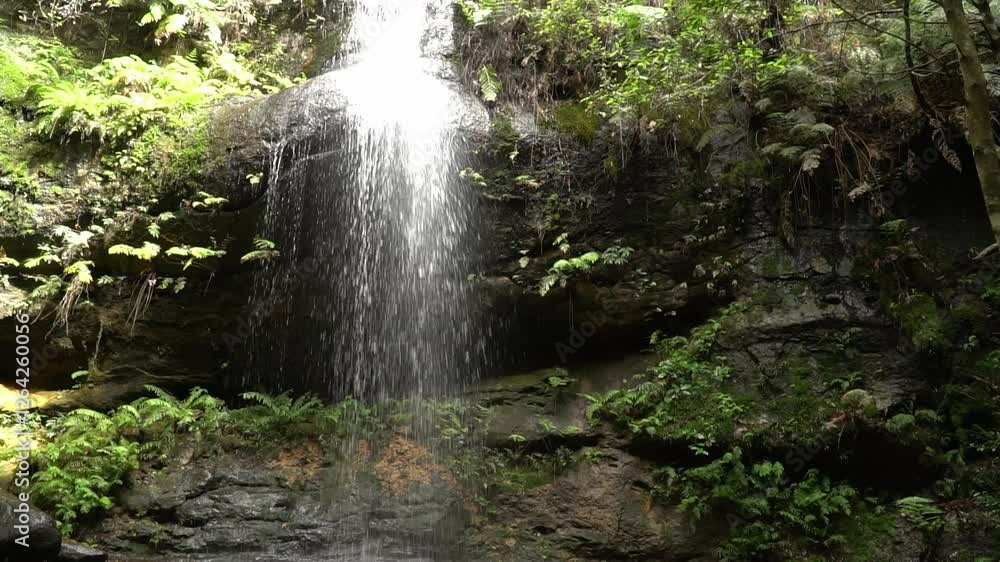 Breathtaking waterfall found in the Blue Mountains National Park, NSW, Australia. Featuring serene cascades flowing over rugged rockface, in lush rainforest surroundings Breathtaking waterfall found in the Blue Mountains National Park, NSW, Australia. Featuring serene cascades flowing over rugged rockface, in lush rainforest surroundings