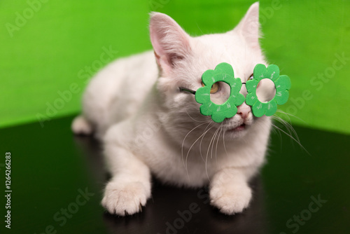 A fluffy, adorable white cat adorning playful flowershaped glasses set against a bright, vibrant green background photo