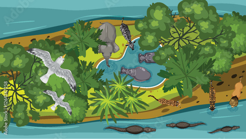 Aerial View of Wildlife in Nature