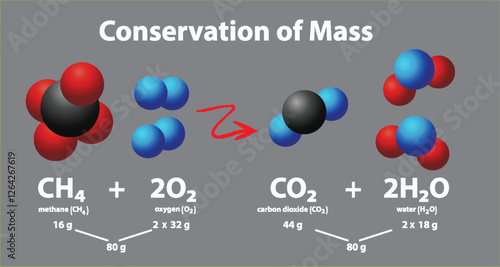 Chemical Reaction and Mass Conservation