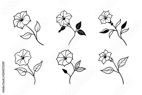 Four O’Clock (Mirabilis jalapa) line art vector illustraion