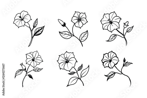 Four O’Clock (Mirabilis jalapa) line art vector illustraion
