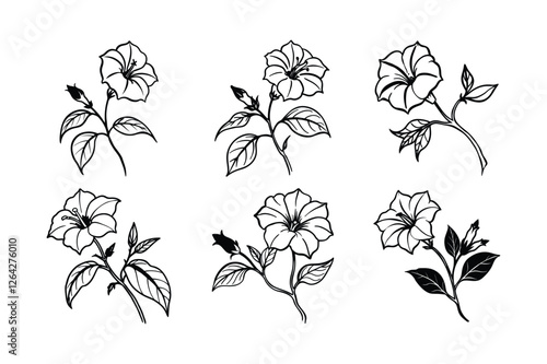 Four O’Clock (Mirabilis jalapa) line art vector illustraion