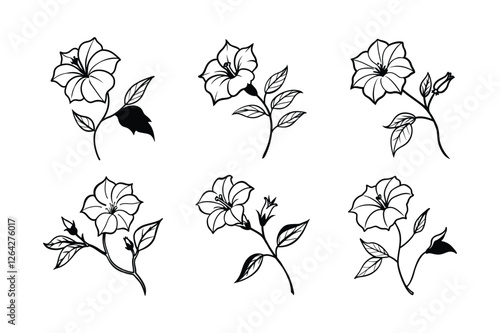 Four O’Clock (Mirabilis jalapa) line art vector illustraion