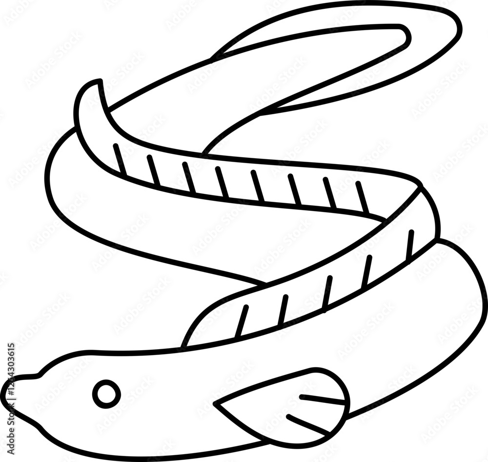 Eel Fish Outline Illustration Eel Fish Outline Illustration